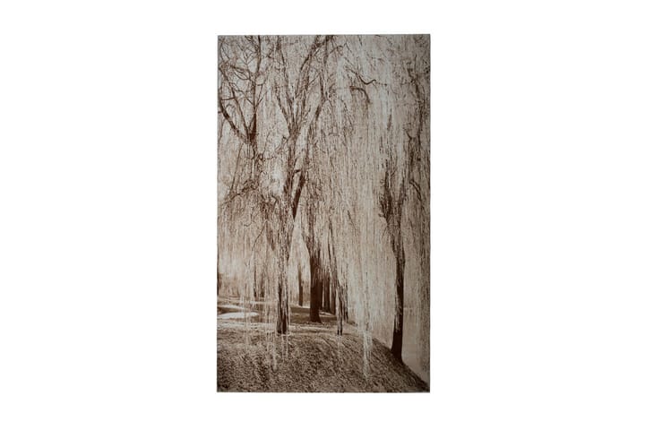 Matto Pierre Cardin Diamond 160x230 Tree - Ruskea - Säilytys - Kaappi - Säilytyskaappi