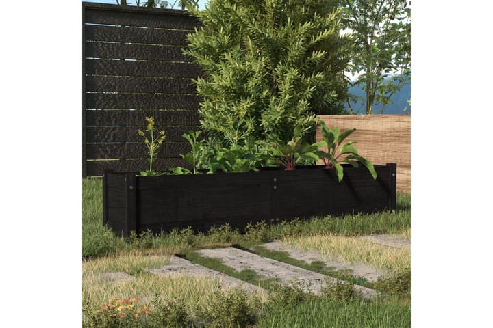 Korotettu kukkalaatikko musta 150x31x31 cm täysi mänty - Musta - Puutarhakalusteet - Tarvikkeet ulos - Muut puutarhatarvikkeet - Ruukut ulkokäyttöön