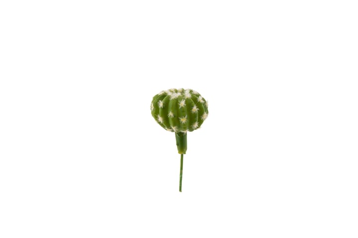 Kaktustikku Tropical 14 cm - AmandaB - Sisustustuotteet - Sisustusesineet - Tekokasvit