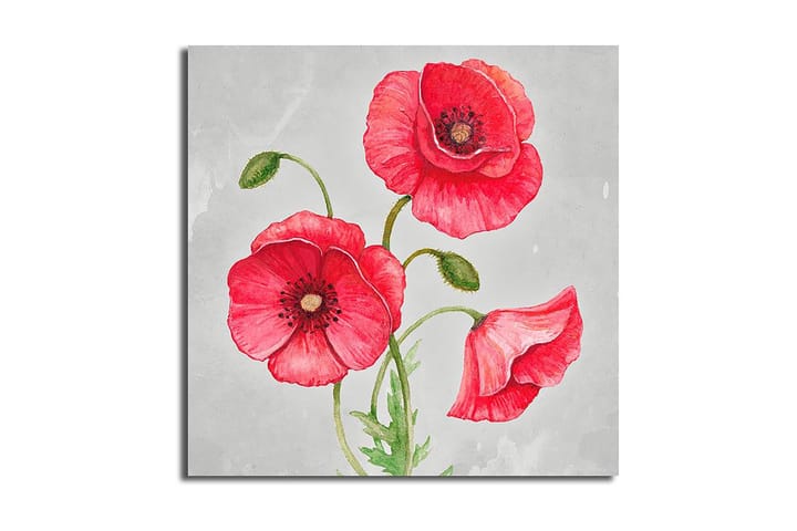 Canvastaulu Floral Monivärinen - 45x45 cm - Sisustustuotteet - Seinäkoristeet - Canvas-taulut