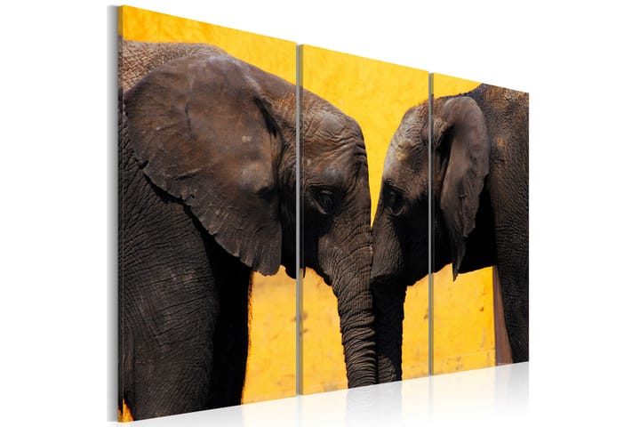 Taulu Elephant Kiss 120x80 - Saatavana usean kokoisena - Sisustustuotteet - Seinäkoristeet - Canvas-taulut