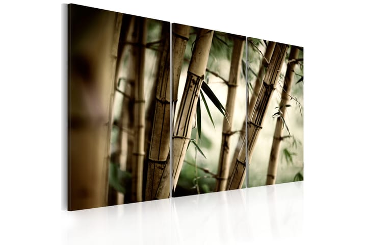 Taulu In A Tropical Forest 120x80 - Saatavana usean kokoisena - Sisustustuotteet - Seinäkoristeet - Canvas-taulut