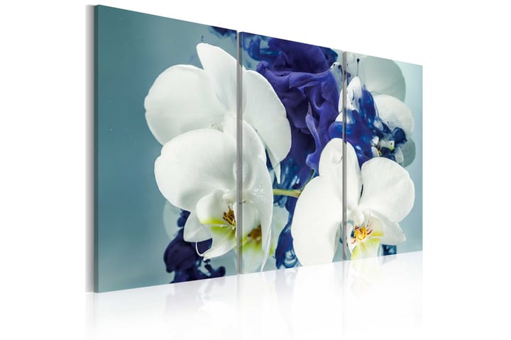 Taulu Kimeerinen orkidea 60x40 - Saatavana usean kokoisena - Sisustustuotteet - Seinäkoristeet - Canvas-taulut