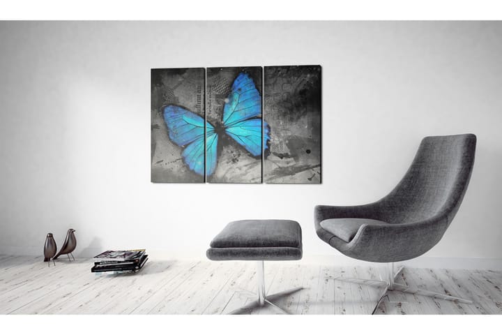 Taulu The Study Of Butterfly Triptych 120x80 - Saatavana usean kokoisena - Sisustustuotteet - Seinäkoristeet - Canvas-taulut