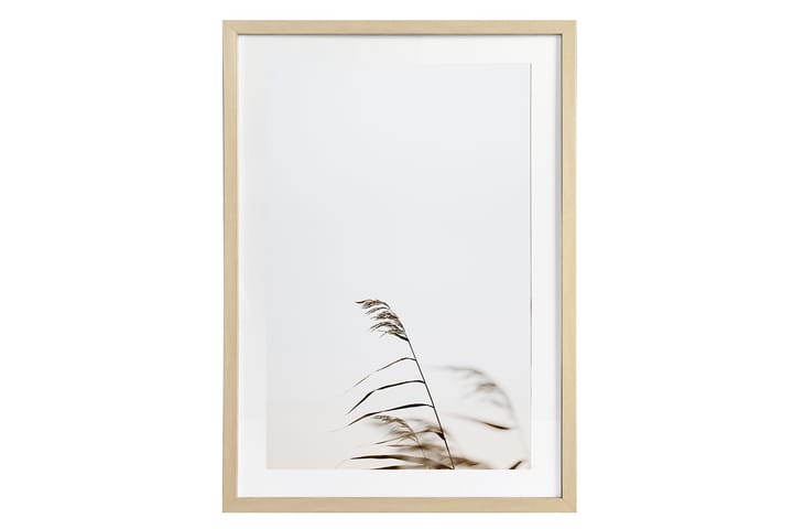 Taulu Deco Grass 1 50x70 cm - AmandaB - Sisustustuotteet - Seinäkoristeet - Kehykset - Julistekehys