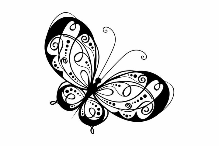 Sisustustarra 60x56 cm Animals Butterfly - Vinyyli/Musta - Sisustustuotteet - Seinäkoristeet - Seinätarrat