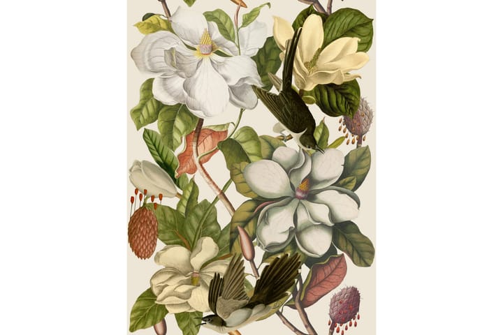 Paneelitapetti magnolia Taupe 1.56X3 m - Mindthegap - Sisustustuotteet - Seinäkoristeet - Tapetit - Kuviolliset tapetit