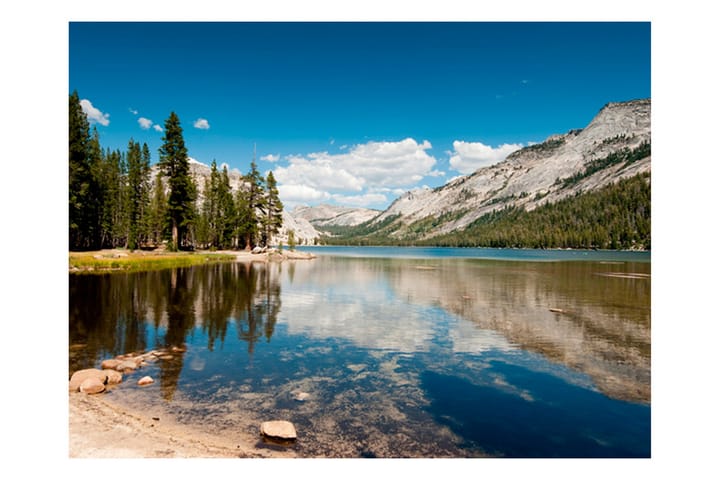Seinämaalaus Tenaya Lake Yosemiten kansallispuisto 400x309 - Artgeist sp. z o. o. - Sisustustuotteet - Seinäkoristeet - Tapetit - Valokuvatapetit