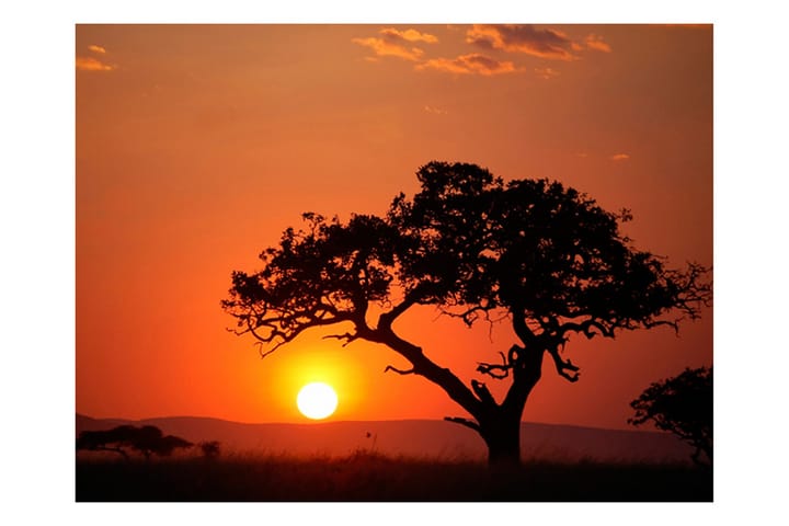 Valokuvatapetti Afrika Auringonlasku 300x231 - Artgeist sp. z o. o. - Sisustustuotteet - Seinäkoristeet - Tapetit - Valokuvatapetit