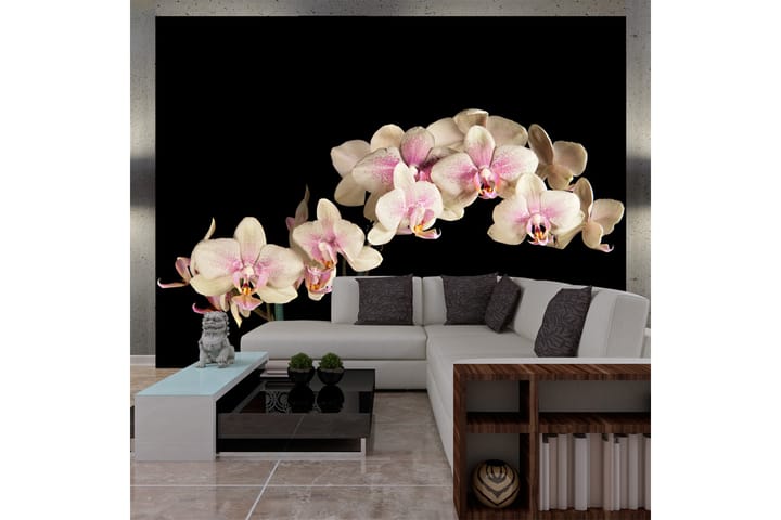 Valokuvatapetti Blooming Orchid 300x231 - Artgeist sp. z o. o. - Sisustustuotteet - Seinäkoristeet - Tapetit - Valokuvatapetit