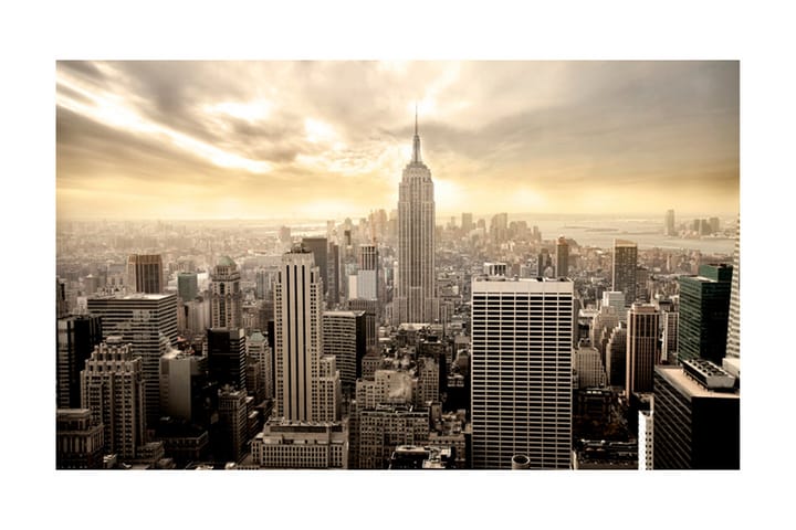 Valokuvatapetti New York Manhattan Auringonnousu 450x270 - Artgeist sp. z o. o. - Sisustustuotteet - Seinäkoristeet - Tapetit - Valokuvatapetit