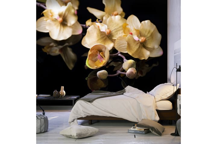 Valokuvatapetti Orchids In Ecru Color 300x231 - Artgeist sp. z o. o. - Sisustustuotteet - Seinäkoristeet - Tapetit - Valokuvatapetit
