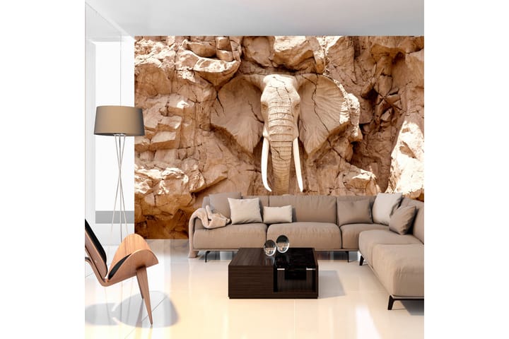 Valokuvatapetti Stone Elephant South Africa 300x210 - Artgeist sp. z o. o. - Sisustustuotteet - Seinäkoristeet - Tapetit - Valokuvatapetit