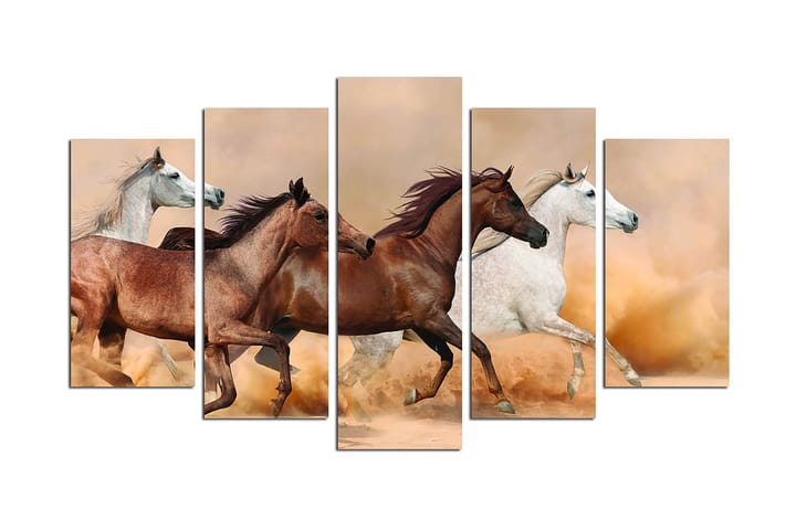 Canvastaulu Animals 5-pak Monivärinen - 20x60 cm - Sisustustuotteet - Taulu & taide - Canvas-taulu