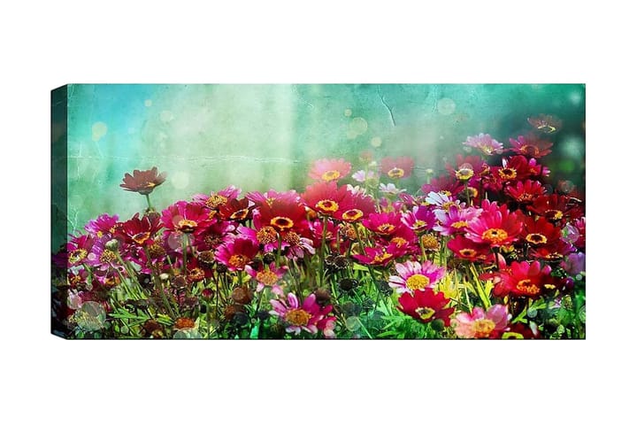 Canvastaulu YTY Floral & Botanical Monivärinen - 120x50 cm - Sisustustuotteet - Seinäkoristeet - Canvas-taulut