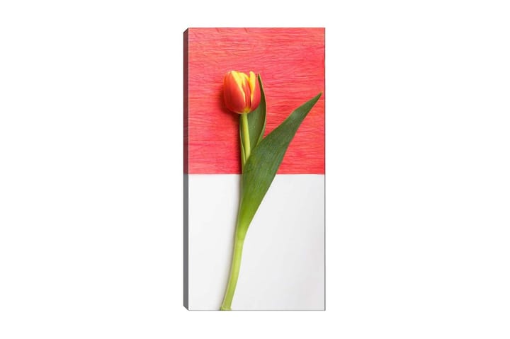 Canvastaulu DKY Floral & Botanical Monivärinen - 50x120 cm - Sisustustuotteet - Taulu & taide - Canvas-taulu