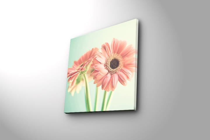Canvastaulu Floral Monivärinen - 45x45 cm - Sisustustuotteet - Taulu & taide - Canvas-taulu