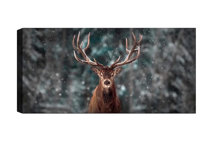 Canvastaulu YTY Animals Monivärinen - 120x50 cm - Sisustustuotteet - Taulut & taide - Canvas-taulut