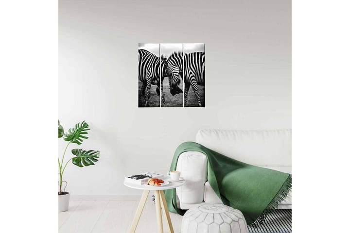 Homemania Zebra Taulu - Homemania - Sisustustuotteet - Taulut & taide - Canvas-taulut