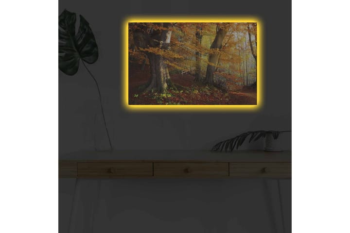 Seinäkoriste LED-valaistu Canvas Maalaus - Sisustustuotteet - Taulu & taide - Canvas-taulu