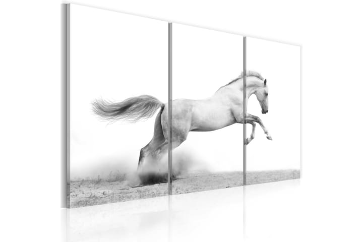Taulu A galloping horse 90x60 - Artgeist sp. z o. o. - Sisustustuotteet - Taulut & taide - Canvas-taulut