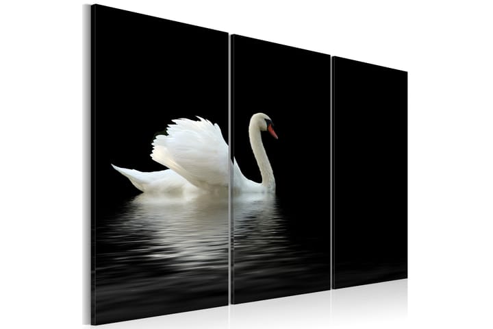 Taulu A Lonely White Swan 60x40 - Artgeist sp. z o. o. - Sisustustuotteet - Taulut & taide - Canvas-taulut