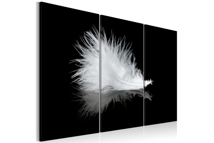 Taulu A Small Feather 60x40 - Artgeist sp. z o. o. - Sisustustuotteet - Taulut & taide - Canvas-taulut