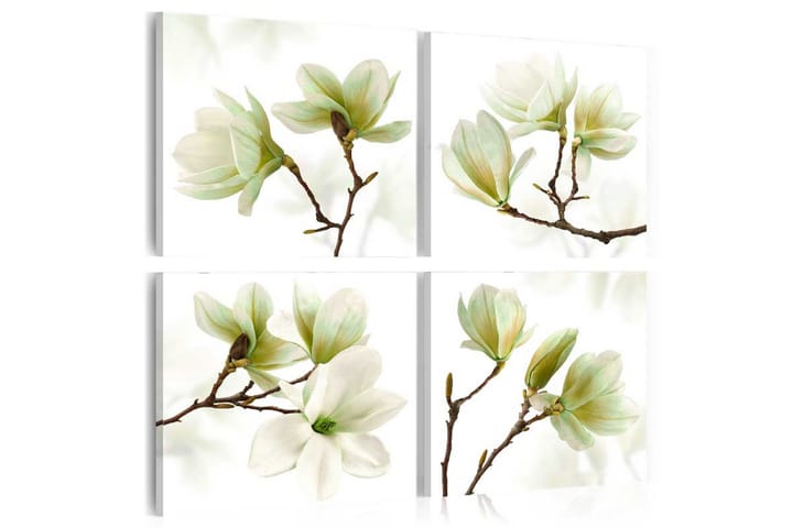 Taulu Admiration Of Magnolia 80x80 - Artgeist sp. z o. o. - Sisustustuotteet - Taulu & taide - Canvas-taulu