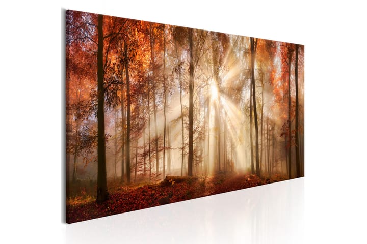 Taulu Autumnal Dawn 150x50 - Artgeist sp. z o. o. - Sisustustuotteet - Taulut & taide - Canvas-taulut