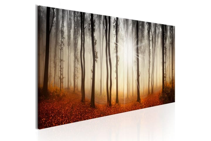 Taulu Autumnal Fog 150x50 - Artgeist sp. z o. o. - Sisustustuotteet - Taulut & taide - Canvas-taulut