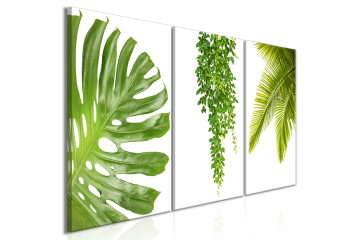 Taulu Beautiful Palm Trees 3 Parts 120x60 - Artgeist sp. z o. o. - Sisustustuotteet - Taulut & taide - Canvas-taulut