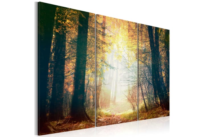 Taulu Beauty of Autumn Triptych 60x40 - Artgeist sp. z o. o. - Sisustustuotteet - Taulu & taide - Canvas-taulu