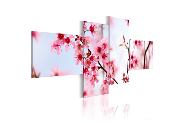 Taulu Beauty Of The Cherry Flowers 200x90 - Artgeist sp. z o. o. - Sisustustuotteet - Taulut & taide - Canvas-taulut