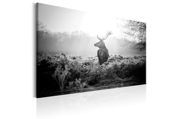 Taulu Black and White Deer 90x60 - Artgeist sp. z o. o. - Sisustustuotteet - Taulu & taide - Canvas-taulu