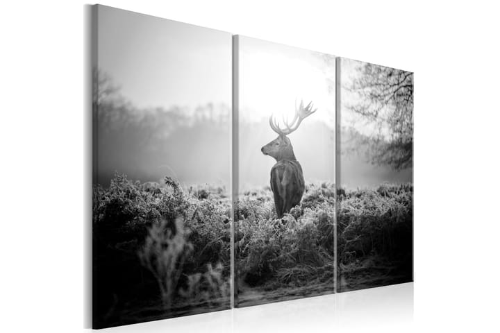 Taulu Black And White Deer 90x60 - Artgeist sp. z o. o. - Sisustustuotteet - Taulut & taide - Canvas-taulut