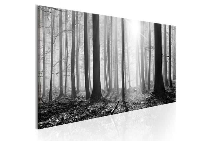 Taulu Black And White Forest 150x50 - Artgeist sp. z o. o. - Sisustustuotteet - Taulut & taide - Canvas-taulut