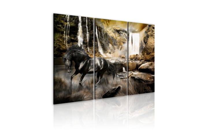 Taulu Black Horse And Rocky Waterfall 120x80 - Artgeist sp. z o. o. - Sisustustuotteet - Taulut & taide - Canvas-taulut