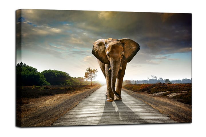 Taulu Canvas Elephant - 75x100 - Sisustustuotteet - Taulu & taide