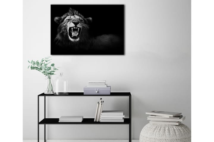 Taulu Canvas Lion - 75x100 - Sisustustuotteet - Taulut & taide - Canvas-taulut