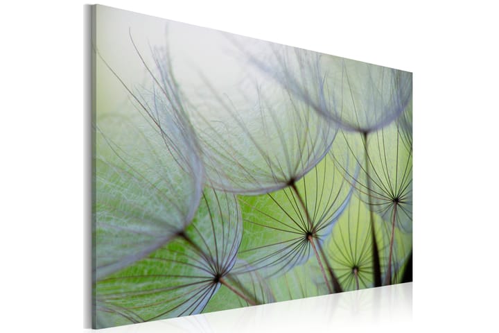 Taulu Dandelion In The Wind 90x60 - Artgeist sp. z o. o. - Sisustustuotteet - Taulut & taide - Canvas-taulut