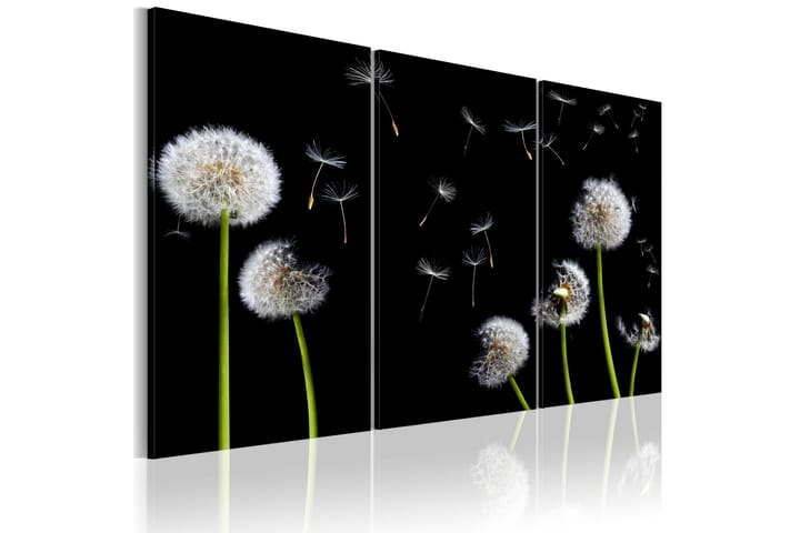 Taulu Dandelions Family 120x80 - Artgeist sp. z o. o. - Sisustustuotteet - Taulut & taide - Canvas-taulut