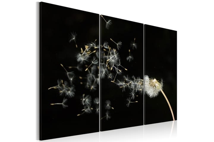 Taulu Dandelions- The Transience 60x40 - Artgeist sp. z o. o. - Sisustustuotteet - Taulut & taide - Canvas-taulut
