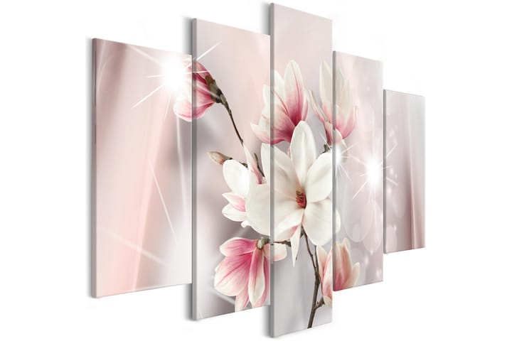 Taulu Dazzling Magnolias 5 Parts Wide 100x50 - Artgeist sp. z o. o. - Sisustustuotteet - Taulu & taide - Canvas-taulu