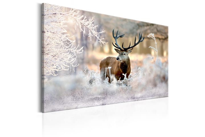 Taulu Deer In The Cold 120x80 - Artgeist sp. z o. o. - Sisustustuotteet - Taulut & taide - Canvas-taulut