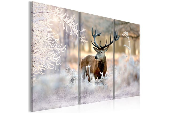 Taulu Deer In The Cold 120x80 - Artgeist sp. z o. o. - Sisustustuotteet - Taulut & taide - Canvas-taulut