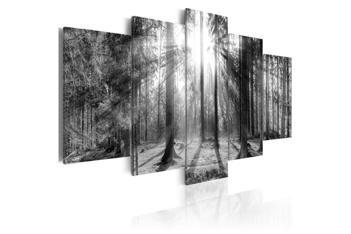 Taulu Forest Of Memories 200x100 - Saatavana usean kokoisena - Sisustustuotteet - Taulut & taide - Canvas-taulut