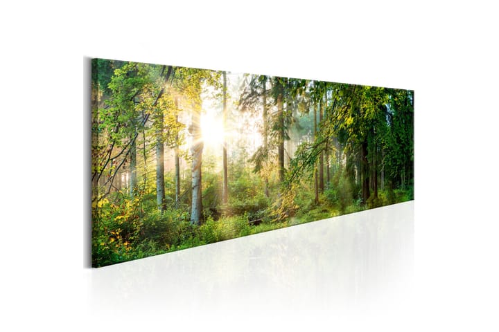 Taulu Forest Shelter 150x50 - Artgeist sp. z o. o. - Sisustustuotteet - Taulut & taide - Canvas-taulut