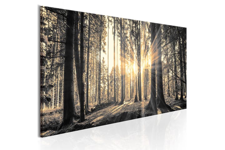 Taulu Forest Sun 150x50 - Artgeist sp. z o. o. - Sisustustuotteet - Taulu & taide - Canvas-taulu
