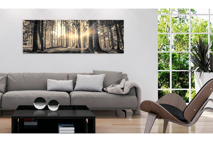 Taulu Forest Sun 150x50 - Artgeist sp. z o. o. - Sisustustuotteet - Taulut & taide - Canvas-taulut