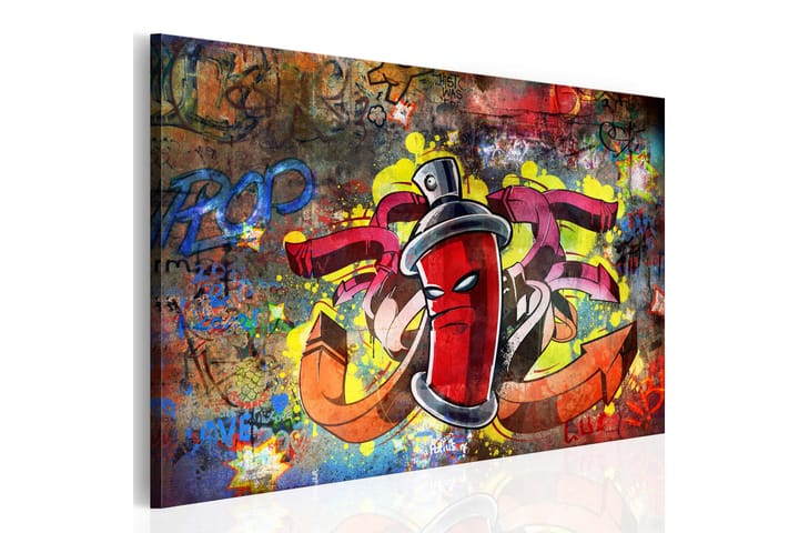 Taulu Graffiti Master 60x40 - Artgeist sp. z o. o. - Sisustustuotteet - Taulu & taide - Canvas-taulu